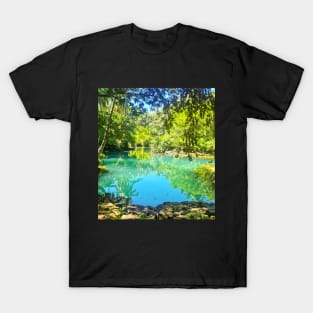 Beto Lagoon, Barobo, Surigao del Sur, Mindanao, Philippines T-Shirt